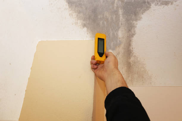Best Indoor Air Quality Assessment  in Lynn Haven, FL