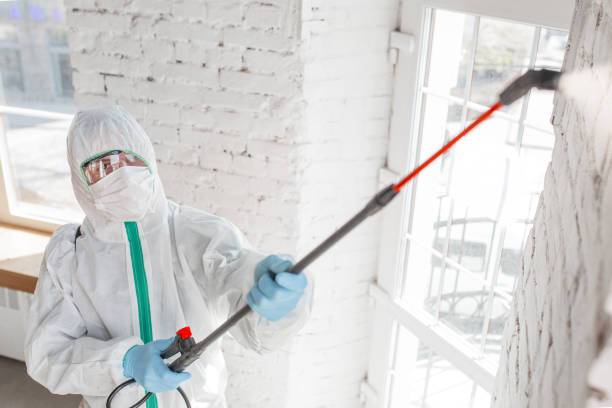 Best Post-Construction Mold Inspection  in Lynn Haven, FL