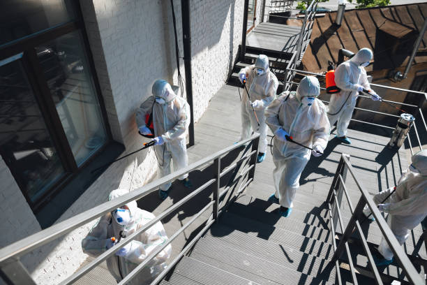 Best Mold Damage Restoration  in Lynn Haven, FL