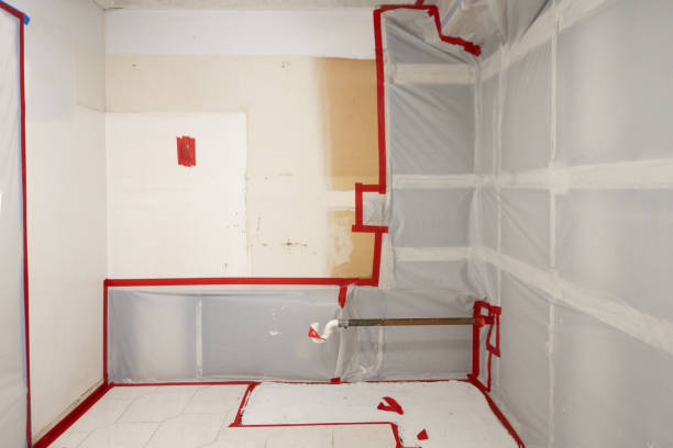 Best Airborne Mold Testing  in Lynn Haven, FL
