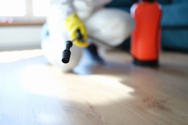 Best Water Damage & Mold Remediation  in Lynn Haven, FL