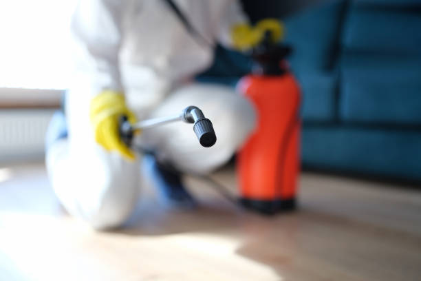 Best Dehumidification Services  in Lynn Haven, FL