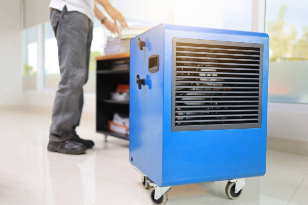 Best Environmental Consulting for Mold Prevention  in Lynn Haven, FL