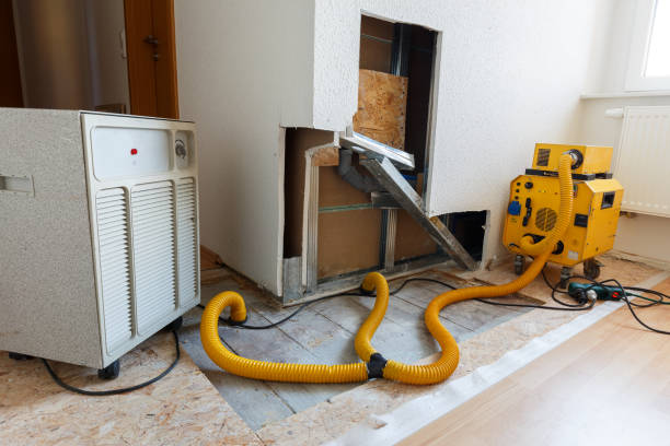 Best Mold Odor Removal Services  in Lynn Haven, FL